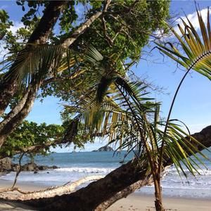 Meet your Posher, Lorette